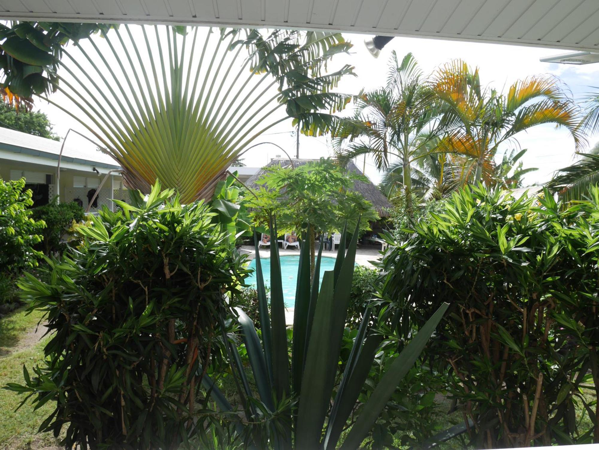 Pension De La Plage Punaauia  Pokoj fotografie